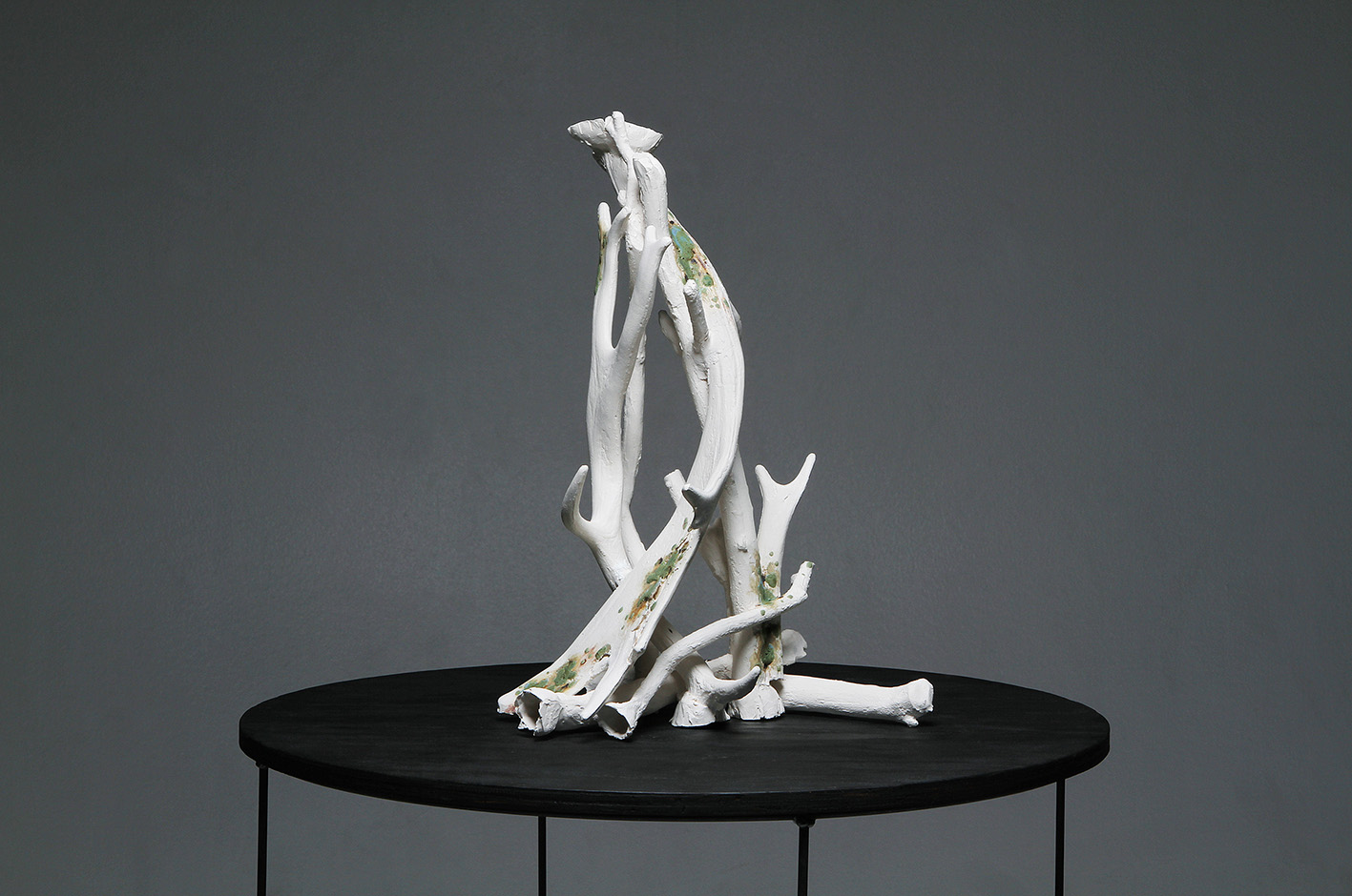 slip cast porcelain project ephemeral death decay regeneration remains bones antlers branches lauren downton contemporary artist