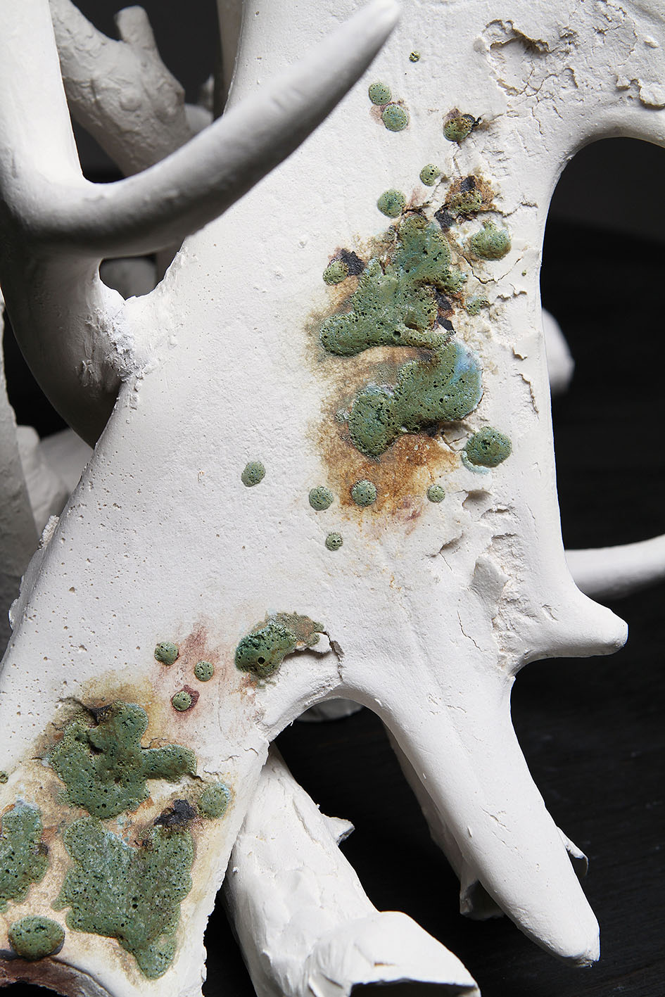 slip cast porcelain project ephemeral death decay regeneration remains bones antlers branches lauren downton contemporary artist